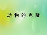 浙科版 2019 高中选修3生物 2.3 动物的克隆 课件