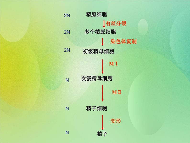 浙科版 2019 高中选修3生物 3.1 从受精卵谈起 课件04