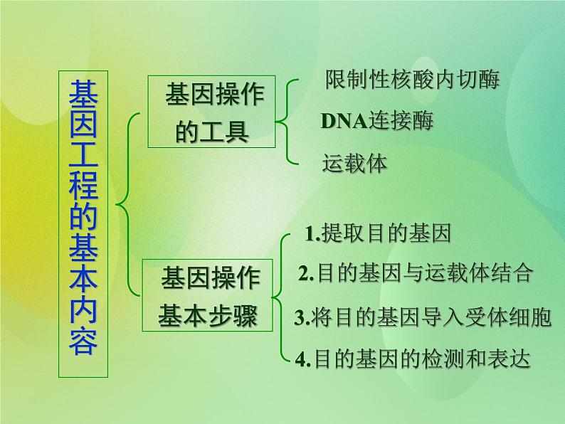 浙科版 2019 高中选修3生物 1.1 工具酶的发现和基因工程的诞生 课件05