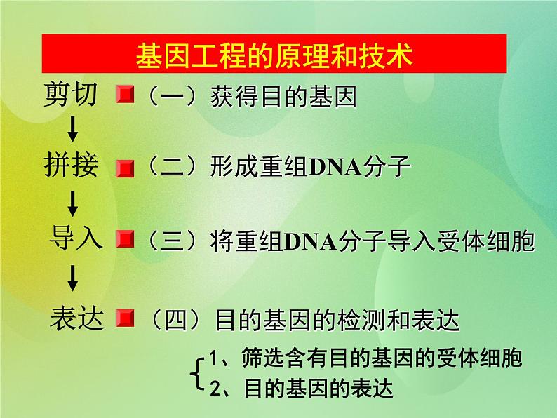 浙科版 2019 高中选修3生物 1.2 基因工程的原理和技术 课件03