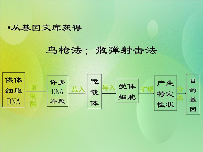 浙科版 2019 高中选修3生物 1.2 基因工程的原理和技术 课件06