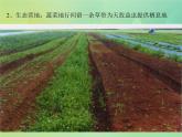 浙科版 2019 高中选修3生物 5.2 生态工程在农业中的应用 课件