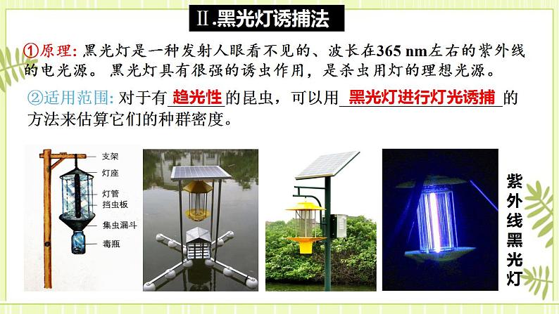 1.1种群的数量特征 课件+教案 人教版高中生物选择性必修二07