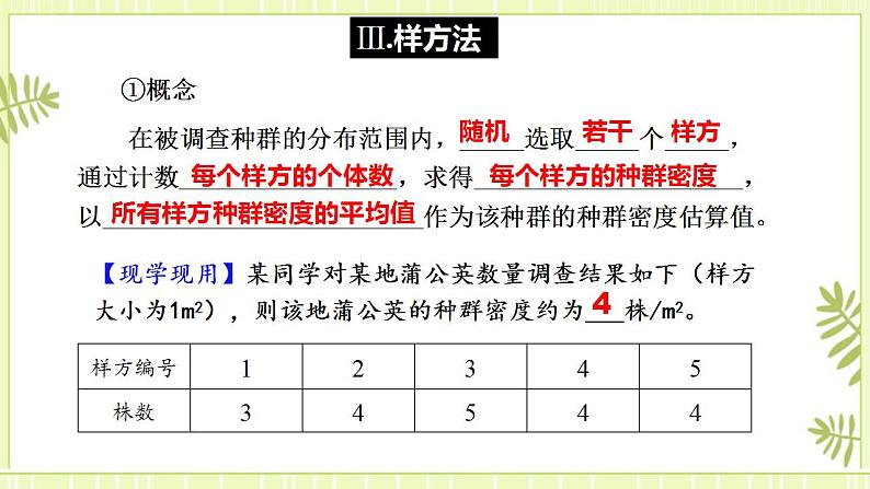 1.1种群的数量特征 课件+教案 人教版高中生物选择性必修二08