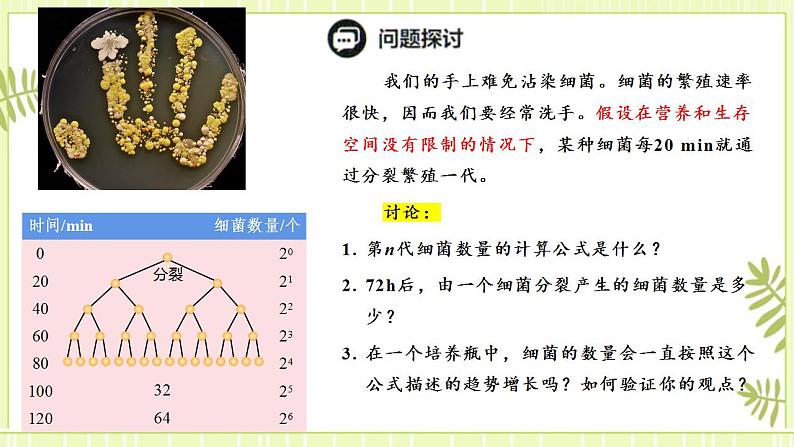 1.2种群数量的变化 课件+教案 人教版高中生物选择性必修二03