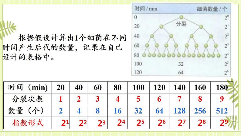 1.2种群数量的变化 课件+教案 人教版高中生物选择性必修二04