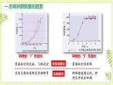 1.3影响种群数量变化的因素 课件+教案 人教版高中生物选择性必修二