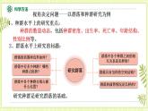 2.1群落的结构 课件+教案 人教版高中生物选择性必修二