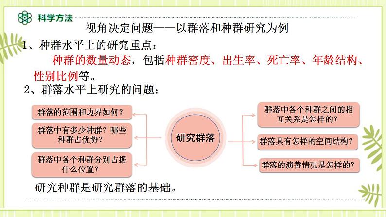 2.1群落的结构 课件+教案 人教版高中生物选择性必修二05