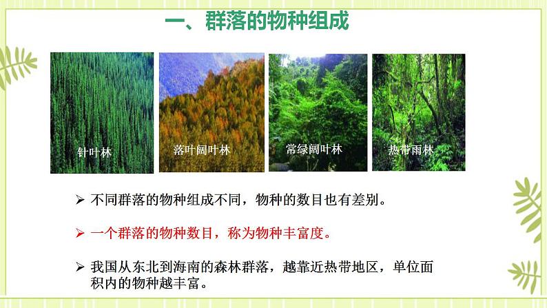 2.1群落的结构 课件+教案 人教版高中生物选择性必修二07