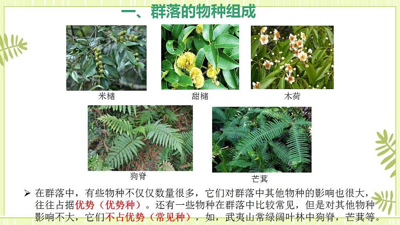 2.1群落的结构 课件+教案 人教版高中生物选择性必修二08