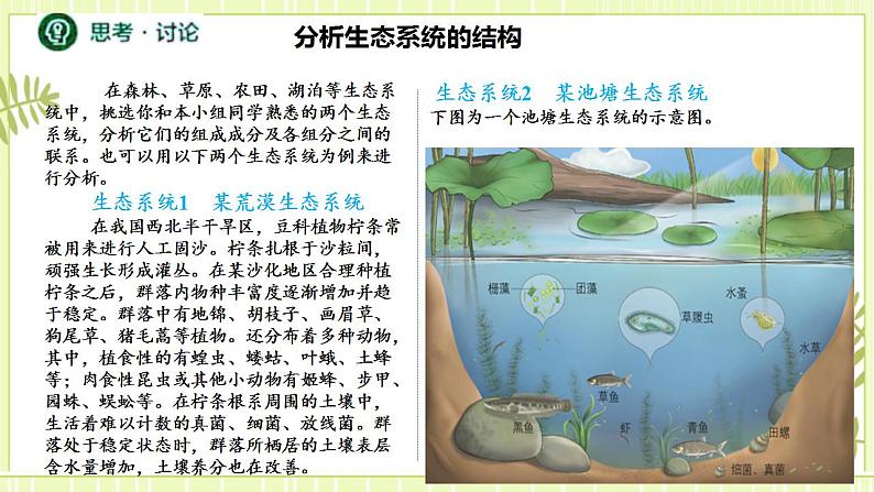 3.1生态系统的结构 课件+教案 人教版高中生物选择性必修二07