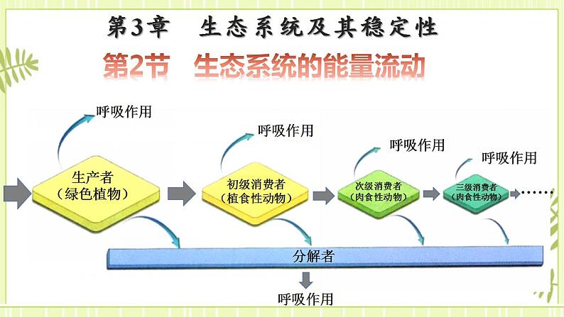 3.2生态系统的能量流动 课件+教案 人教版高中生物选择性必修二01