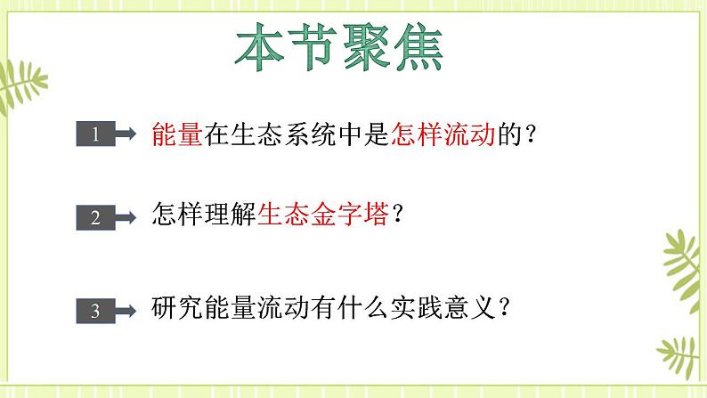 3.2生态系统的能量流动 课件+教案 人教版高中生物选择性必修二02