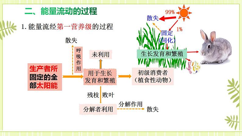 3.2生态系统的能量流动 课件+教案 人教版高中生物选择性必修二07