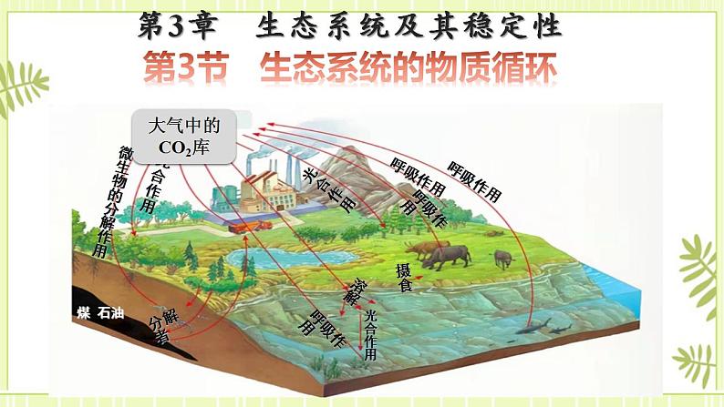 3.3生态系统的物质循环 课件+教案 人教版高中生物选择性必修二01