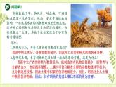 3.3生态系统的物质循环 课件+教案 人教版高中生物选择性必修二