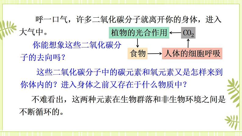 3.3生态系统的物质循环 课件+教案 人教版高中生物选择性必修二04