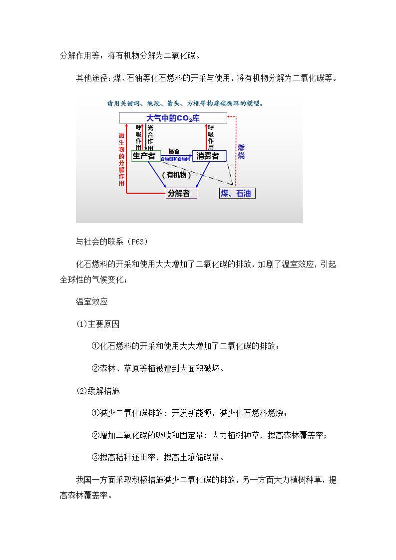 3.3生态系统的物质循环教案高中生物人教版（2019）选择性必修二第3页
