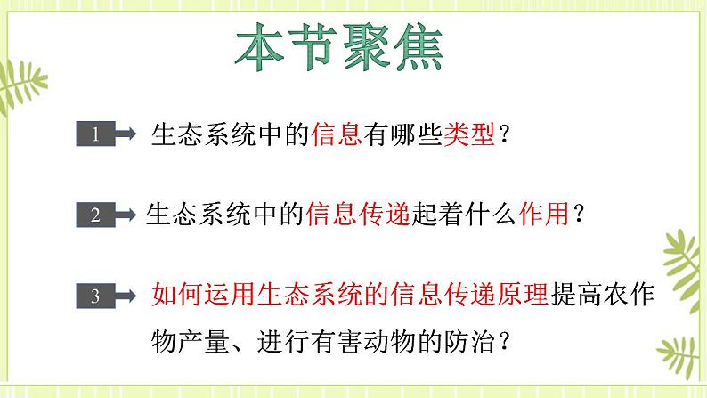 3.4 生态系统的信息传递 课件+教案 人教版高中生物选择性必修二02