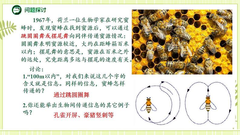 3.4 生态系统的信息传递 课件+教案 人教版高中生物选择性必修二03