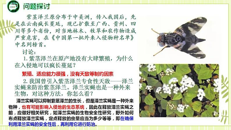 3.5 生态系统的稳定性 课件+教案 人教版高中生物选择性必修二03