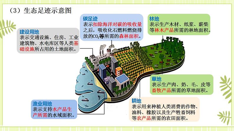 4.1 人类活动对生态环境的影响 课件+教案 人教版高中生物选择性必修二06