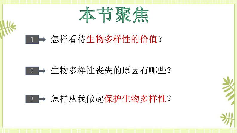 4.2生物多样性及其保护 课件+教案 人教版高中生物选择性必修二02