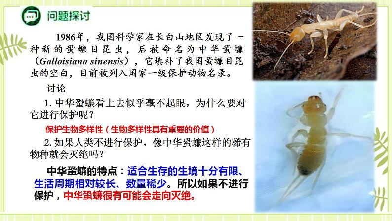 4.2生物多样性及其保护 课件+教案 人教版高中生物选择性必修二03