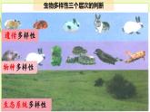 4.2生物多样性及其保护 课件+教案 人教版高中生物选择性必修二