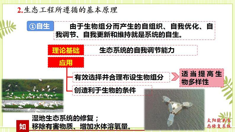 4.3生态工程 课件+教案 人教版高中生物选择性必修二08