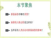 2.3群落的演替 課件+教案 人教版高中生物選擇性必修二