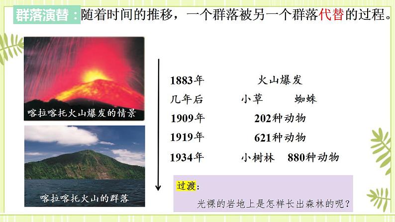 2.3群落的演替 课件+教案 人教版高中生物选择性必修二05