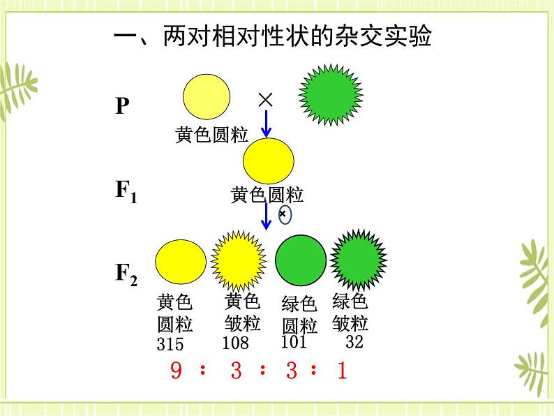 1.2 孟德尔的豌豆杂交实验（二） 课件+教案03