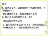 1.2 孟德尔的豌豆杂交实验（二） 课件+教案