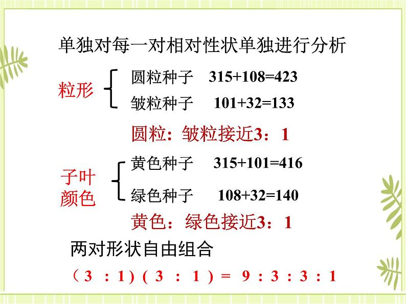 1.2 孟德尔的豌豆杂交实验（二） 课件+教案05