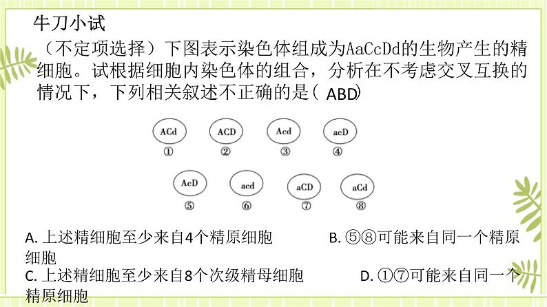 2.1 减数分裂和受精作用 课件+教案06