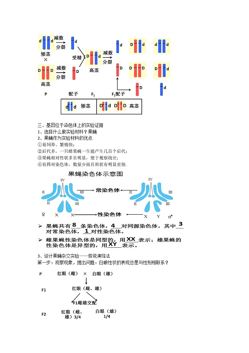 2.2 基因在染色体上 课件+教案02