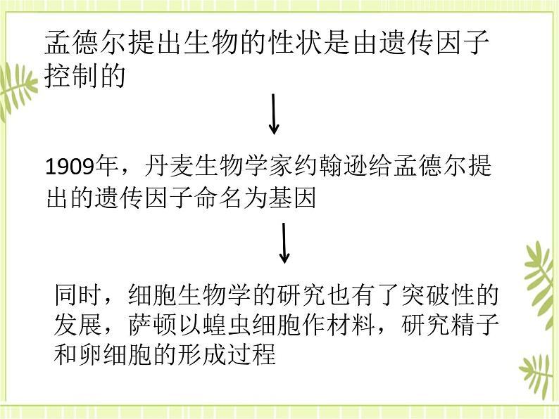 2.2 基因在染色体上 课件+教案02