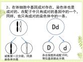 2.2 基因在染色体上 课件+教案