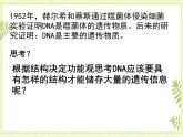 3.2 DNA的结构 课件+教案