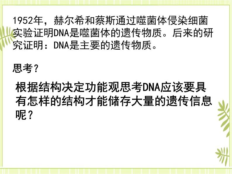 3.2 DNA的结构 课件+教案02