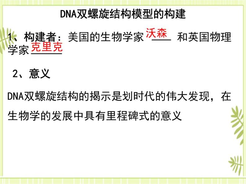 3.2 DNA的结构 课件+教案03