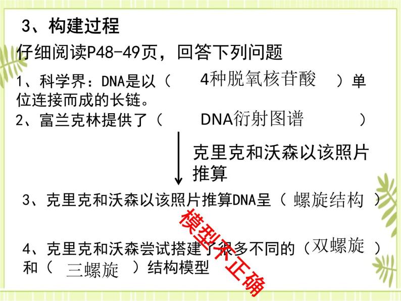 3.2 DNA的结构 课件+教案04