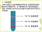 3.3 DNA的复制 课件+教案