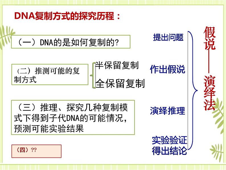 3.3 DNA的复制 课件+教案08