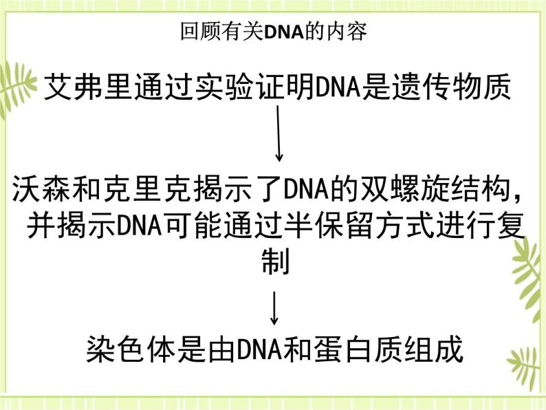3.4 基因通常是有遗传效应的DNA片段 课件+教案02