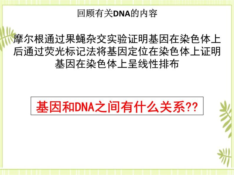 3.4 基因通常是有遗传效应的DNA片段 课件+教案03