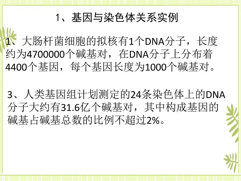 3.4 基因通常是有遗传效应的DNA片段 课件+教案04