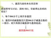 3.4 基因通常是有遺傳效應(yīng)的DNA片段 課件+教案